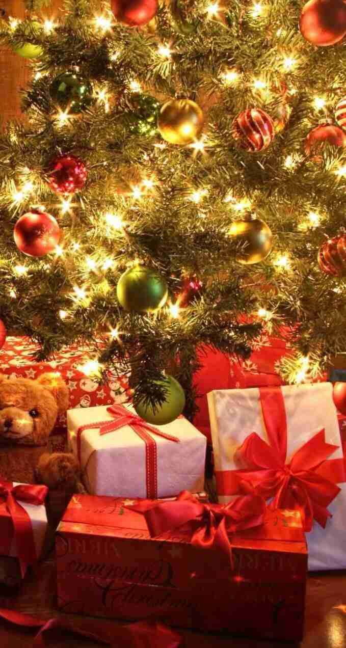 冬好きさん 『画像』