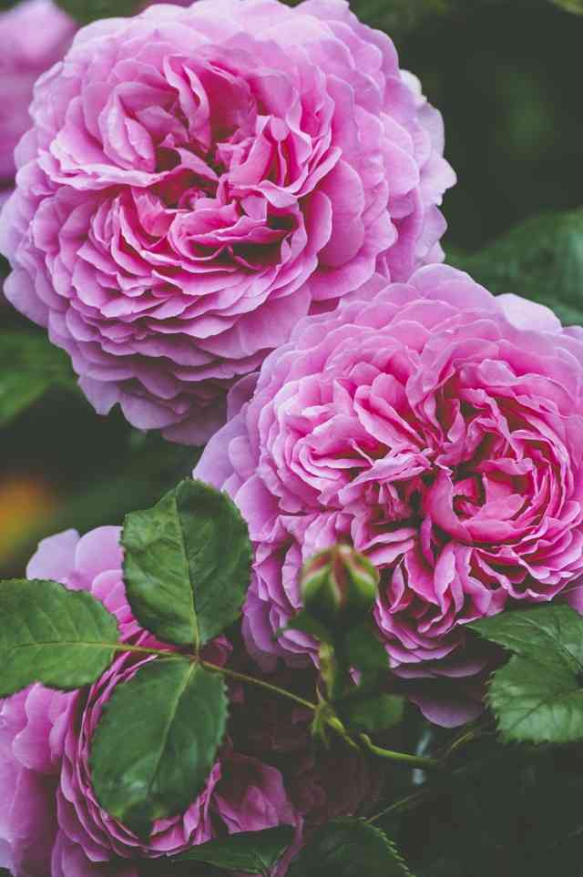 女子力上げるトピ！part4