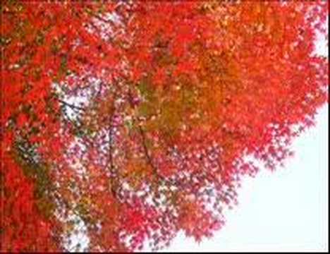 For the Peace of All Mankind - Albert Hammond - YouTube