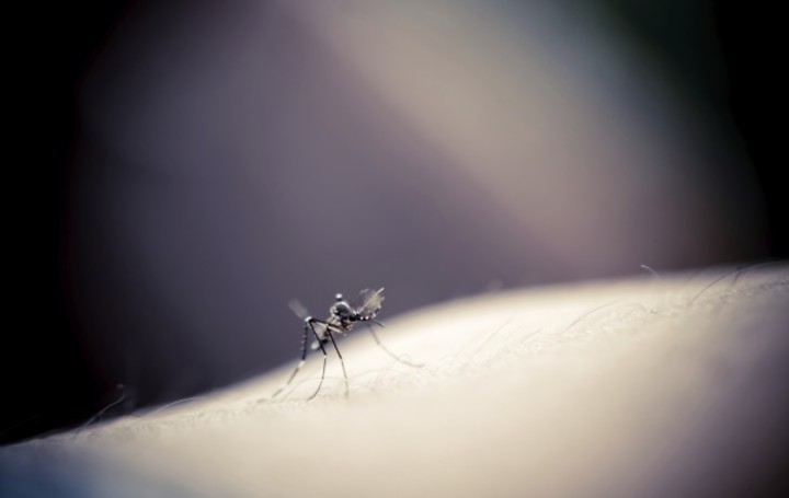 日本で「放射能の蚊」に刺された？韓国アイドルの発言が物議｜レコードチャイナ