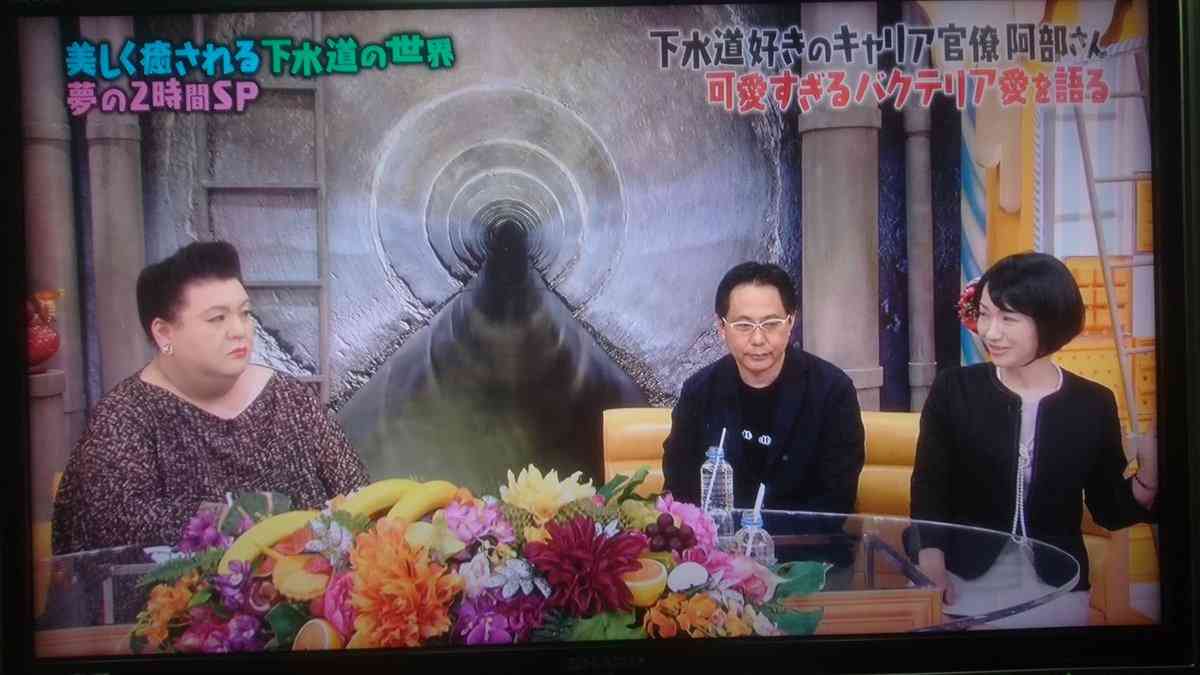 「マツコの知らない世界」で面白かった回