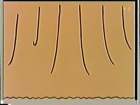 だんご３兄弟　あっという間　劇場　♪ - YouTube