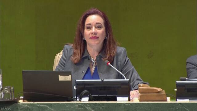 国連総会議長 秋までに安保理改革の進展得るよう訴え | NHKニュース