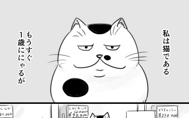 ネコ科の画像貼って癒されましょう！
