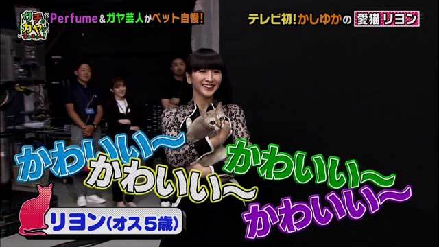 Perfume、アメリカ野外フェス「Coachella」出演決定