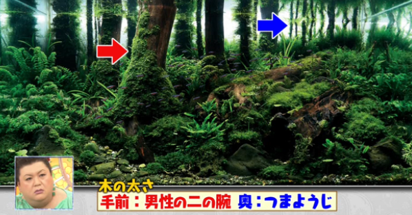 「マツコの知らない世界」で面白かった回