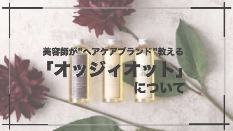 【オッジィオットの教科書】美容師が教える魔法のシャンプーの成分や効果と比較検証｜きしろぐ