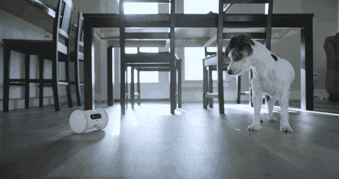 なんだか心が擦れた。ただ只管に和むトピにしたい。