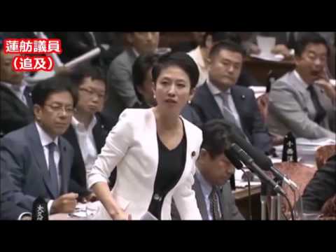 蓮舫VS蓮舫 - YouTube