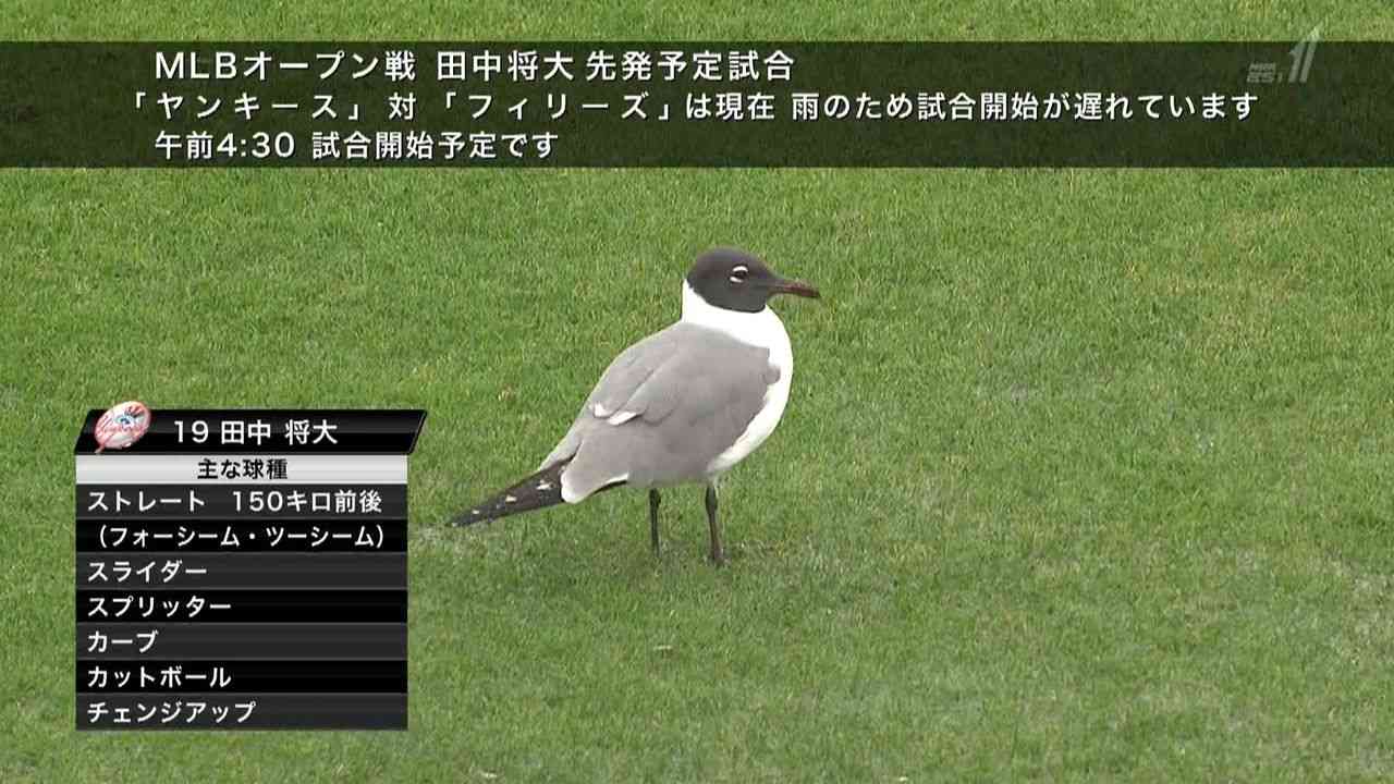 放送事故画像をひたすら貼っていくトピ