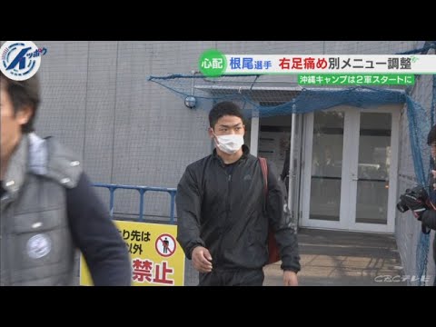 番組で「根尾昂」の名前にモザイクで視聴者反応　NHKに大人の事情？