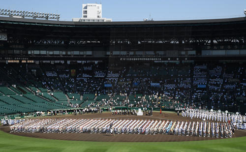 高知商野球部員　有料ダンス発表会出演で部長処分へ - 高校野球 : 日刊スポーツ