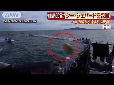 反捕鯨シー・シェパードがイルカ漁師に反撃食らう(19/01/12) - YouTube