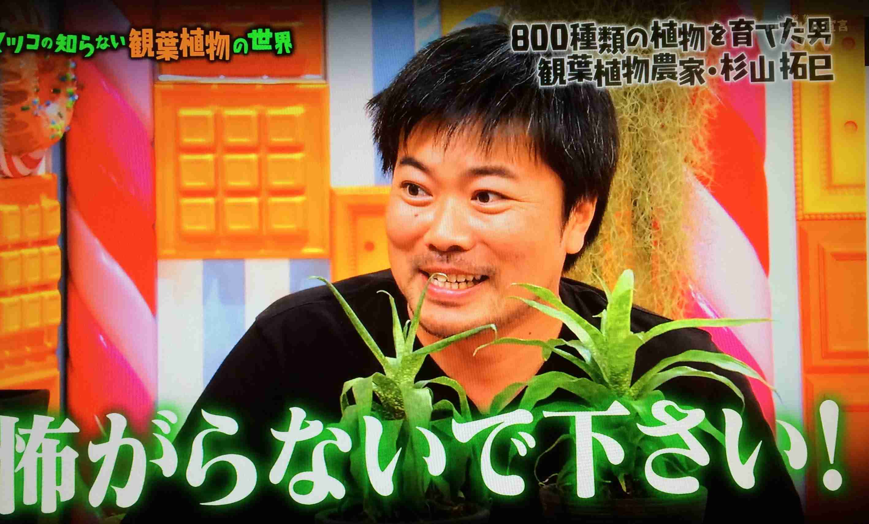 「マツコの知らない世界」で面白かった回
