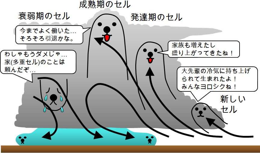アルゼンチンの空一面を覆う異様な巨大な雲、気象庁が注意を呼び掛け