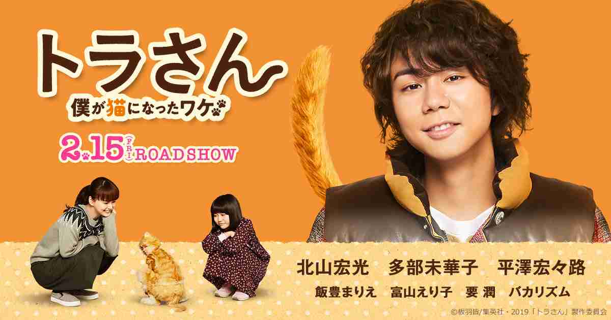 映画『トラさん～僕が猫になったワケ～』北山宏光初主演作！2019年2月15日（金）より全国ロードショー