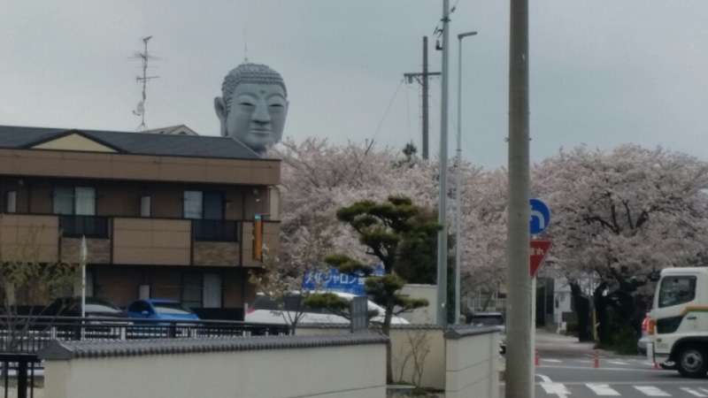 大仏の画像を貼るトピ