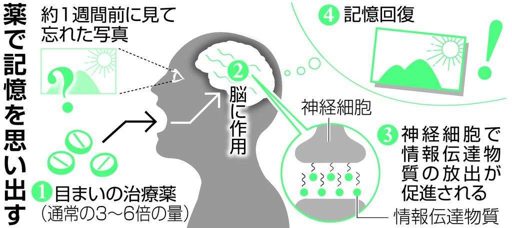 忘れた記憶を薬で回復　東大など世界初、認知症治療目指す - 産経ニュース