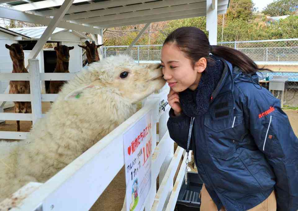 若い女性にだけチューするアルパカ なんで私にはしないの ガールズちゃんねる Girls Channel