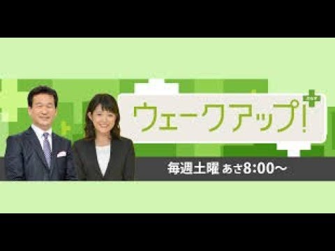 ウェークアップ!ぷらす  2019年02月02日 - YouTube