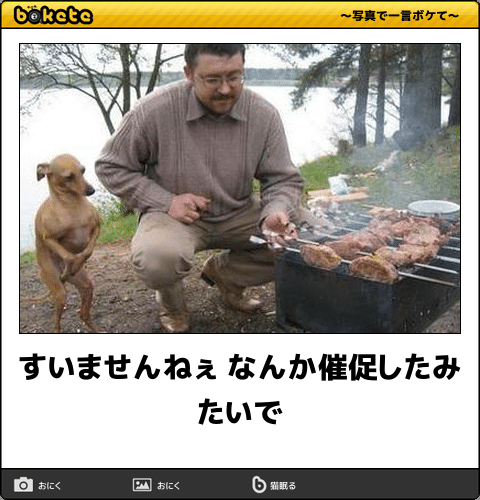 動物のboketeを貼るトピpart3