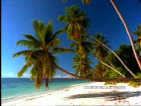 smooth jazz - angela winbush - turnin me on - YouTube