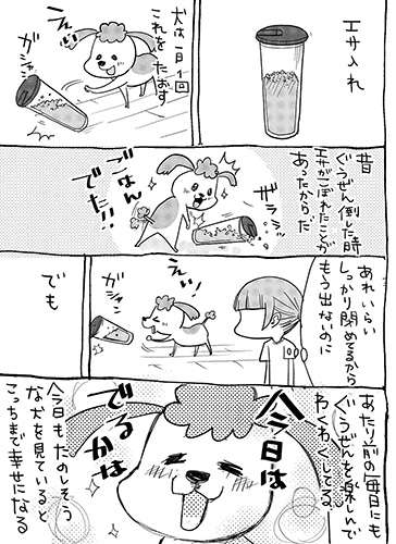 猫を飼って初めて分かったこと