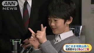 小室圭さんの母・佳代さんに脱税疑惑…税務調査の可能性も