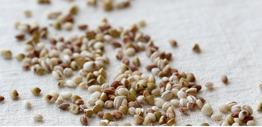 玄米と発芽玄米の違いとは？メリットデメリットを徹底解説