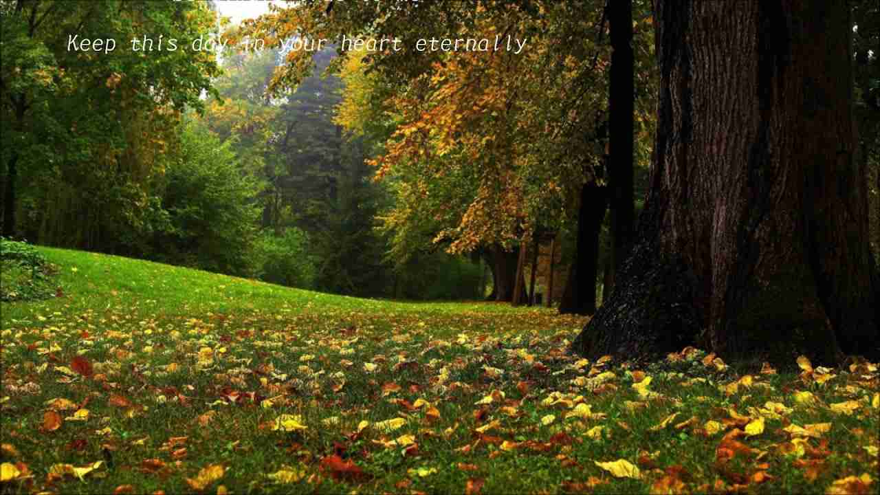 ラヴァーズ・コンチェルト　/　サラ・ヴォーン - YouTube