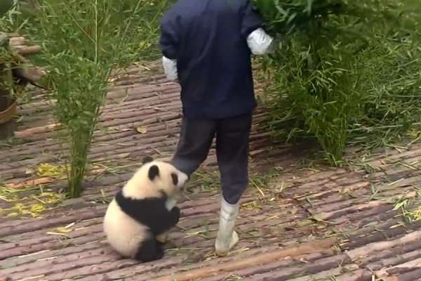 甘えちゃってる画像を貼るトピ