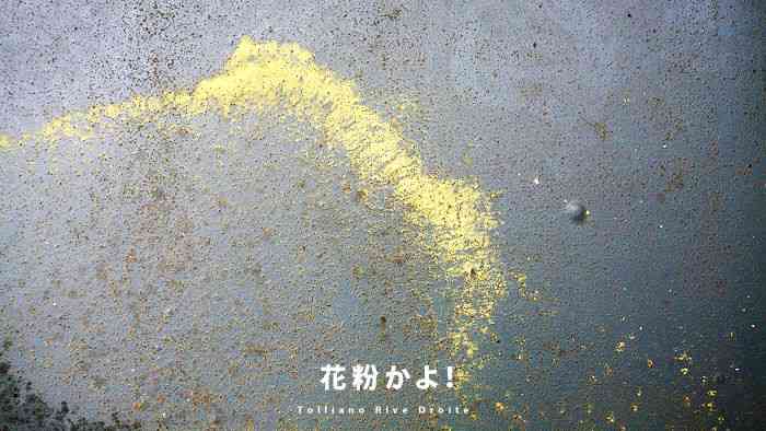 【悲報】原発事故後、関東に降り注いだ黄色い粉は「劣化ウラン」か？ 茨城県内でウラン検出 - NAVER まとめ