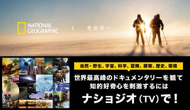 最近のテレビつまらなくないですか？