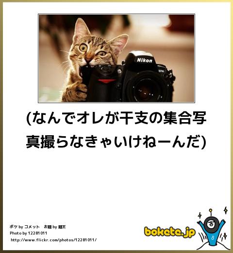 動物のboketeを貼るトピpart3