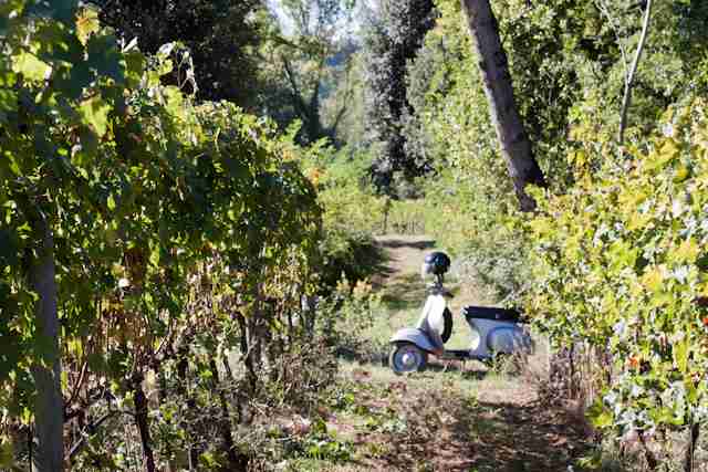 坂道の画像を貼るトピ