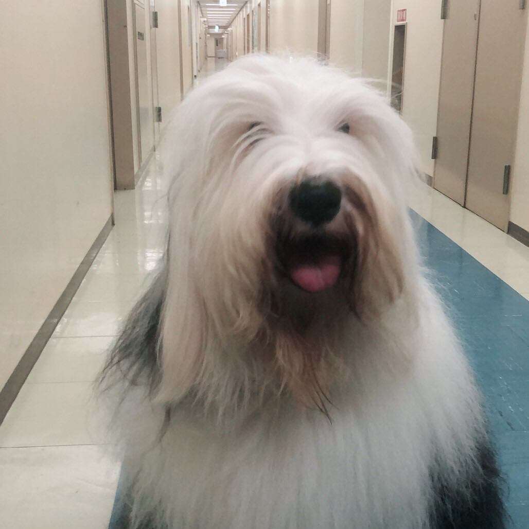 【実況・感想】火曜ドラマ「初めて恋をした日に読む話」第7話