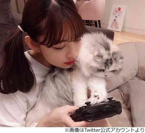 “こじはる”こと小嶋陽菜「ひさしぶり」のツインテール姿に反響
