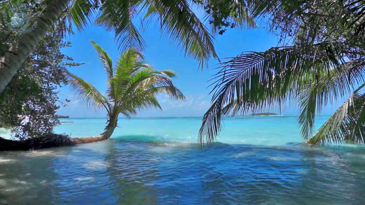 ? Ocean Waves On Tropical Island (Maldives) Ambience Sound, Paradise Beach Sounds For Relaxation - YouTube