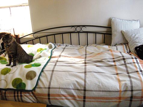 一人暮らし部屋のレイアウト