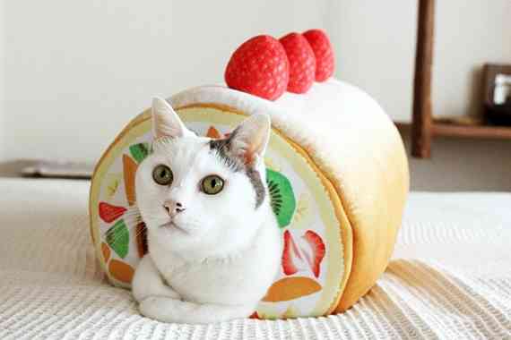 ロールケーキが好きな人!