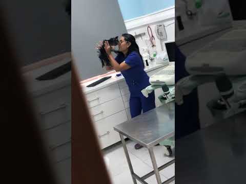 This is how vet's treat your pets behind your back - YouTube