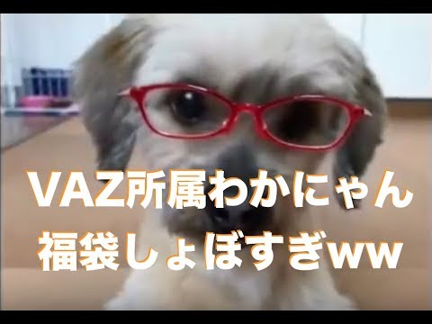 VAZ所属YouTuberわかにゃん福袋がしょぼすぎるとかwwwwヒカルさん見習っちゃダメですよ！！ - YouTube