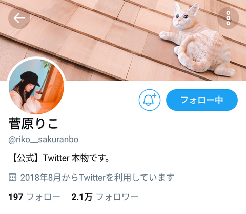 【速報】山口真帆に続き、菅原りこ、村雲颯香、長谷川玲奈もTwitter、インスタのプロフィール欄からNGTの文字を消す・・・ : AKB48まとめ 48年戦争