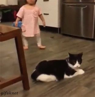 画像 : おもしろGIF画像まとめ - NAVER まとめ