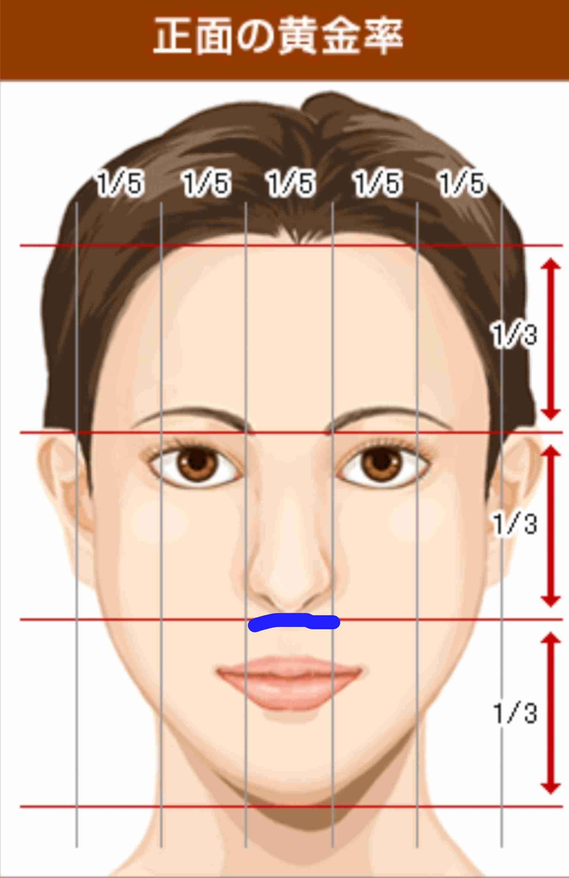 鼻の横幅何センチですか？