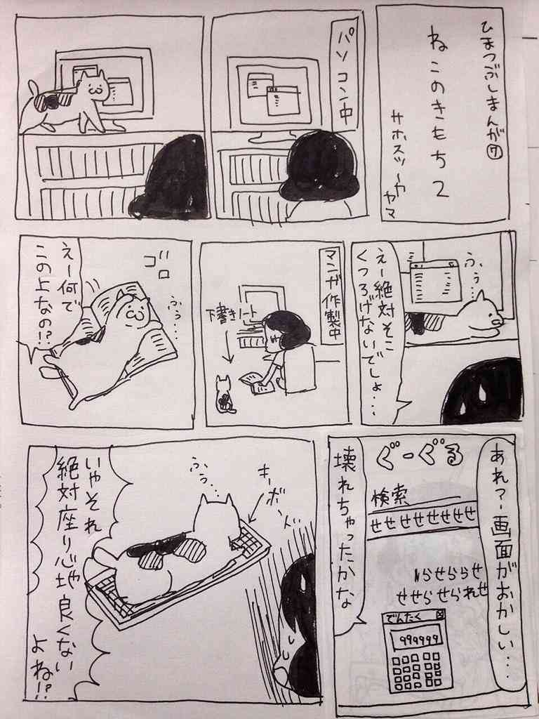 猫を飼って初めて分かったこと