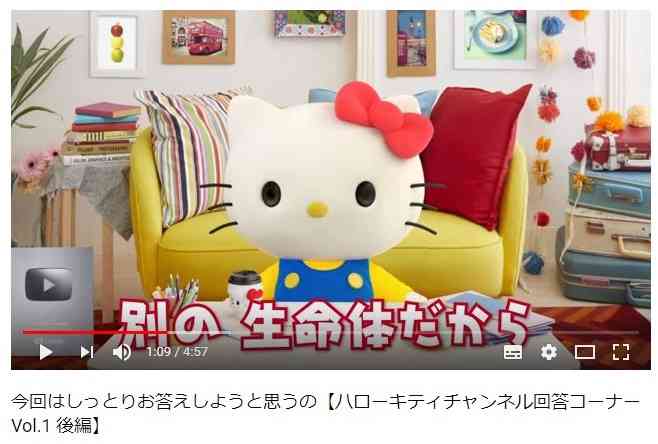 YouTuberハローキティの回答が深すぎる 「大丈夫、愛は値崩れしない」「大切な人と一緒にいる方法は結婚だけに限らない」