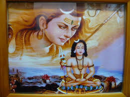 人間以外のイケメンを貼るトピ