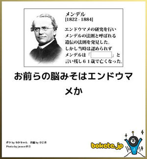 遺伝子って怖いなって思ったことありますか ガールズちゃんねる Girls Channel