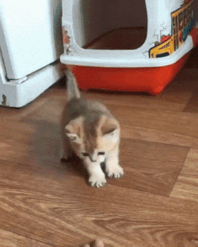 【動物部隊】ペット見守り隊part4